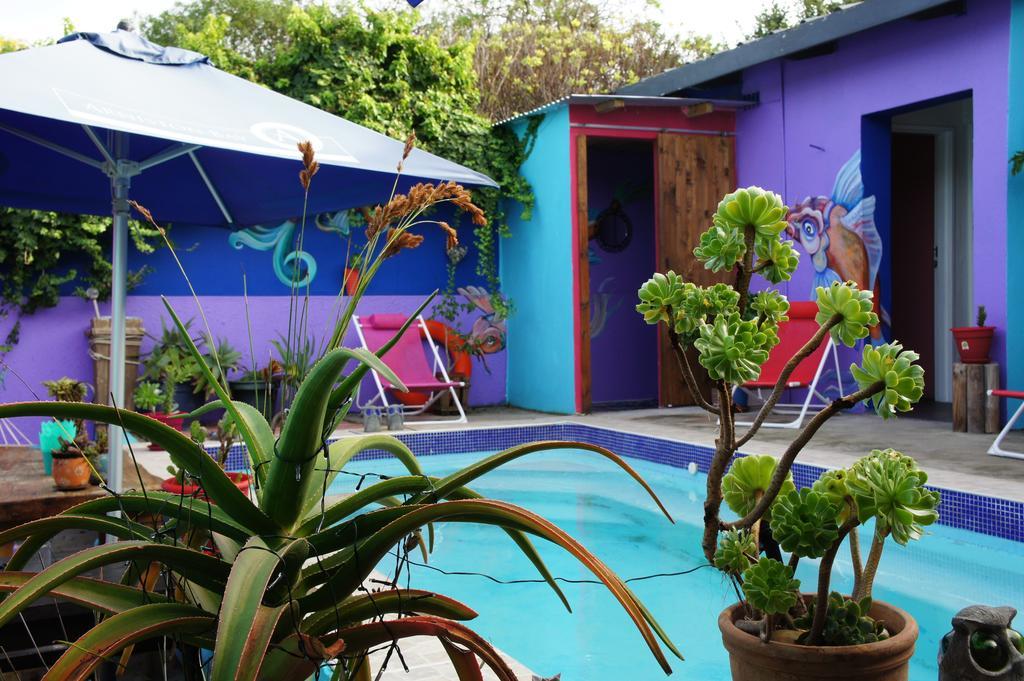 הוסטל סטראוסבאי Cape Agulhas Backpackers חדר תמונה