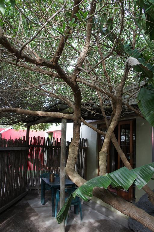 הוסטל סטראוסבאי Cape Agulhas Backpackers מראה חיצוני תמונה