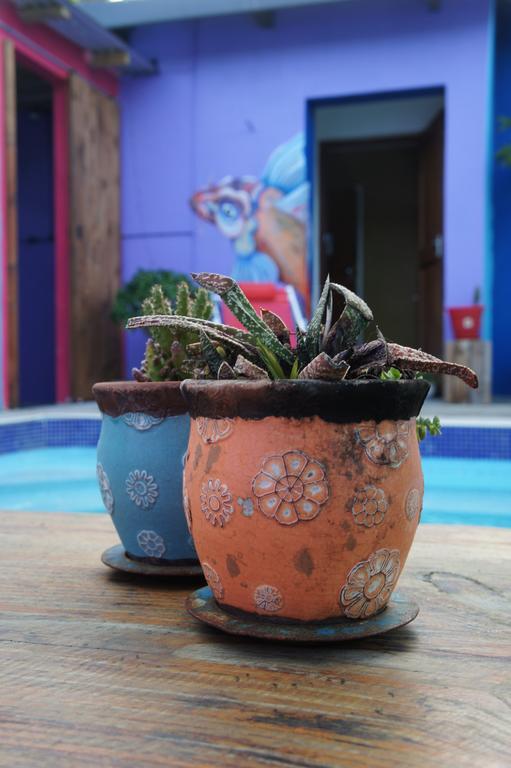 הוסטל סטראוסבאי Cape Agulhas Backpackers חדר תמונה